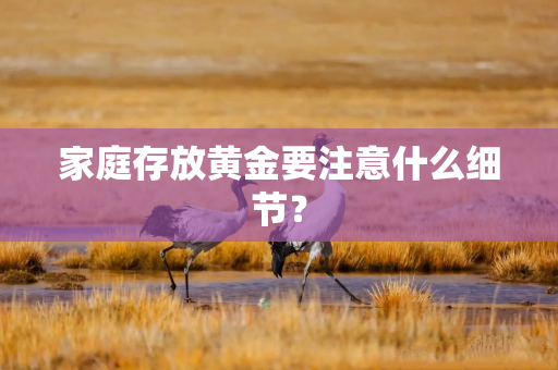 家庭存放黄金要注意什么细节？