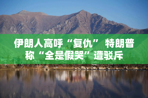 伊朗人高呼“复仇” 特朗普称“全是假哭”遭驳斥