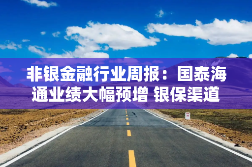 非银金融行业周报：国泰海通业绩大幅预增 银保渠道“报行合一”将进一步细化