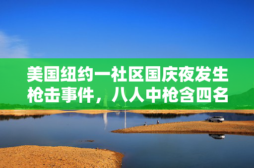 美国纽约一社区国庆夜发生枪击事件，八人中枪含四名儿童