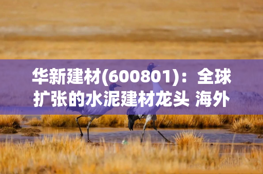 华新建材(600801)：全球扩张的水泥建材龙头 海外高景气持续