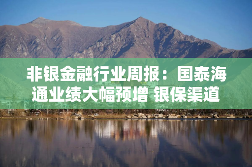 非银金融行业周报：国泰海通业绩大幅预增 银保渠道“报行合一”将进一步细化