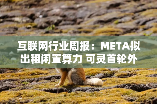互联网行业周报：META拟出租闲置算力 可灵首轮外部融资落地
