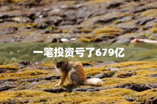 一笔投资亏了679亿