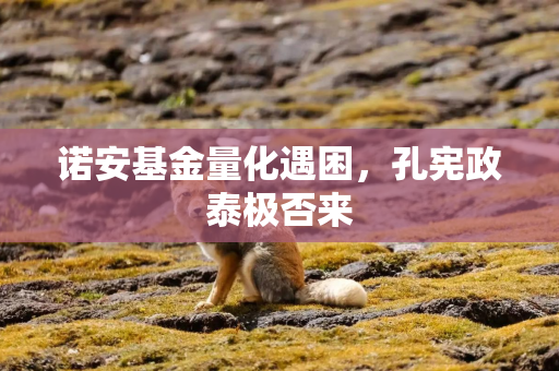 诺安基金量化遇困，孔宪政泰极否来