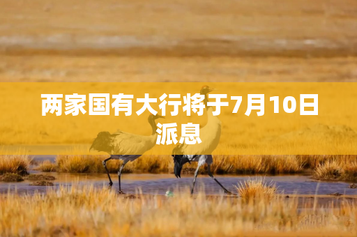 两家国有大行将于7月10日派息
