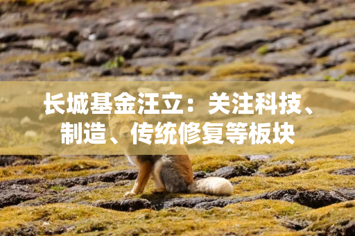 长城基金汪立：关注科技、制造、传统修复等板块
