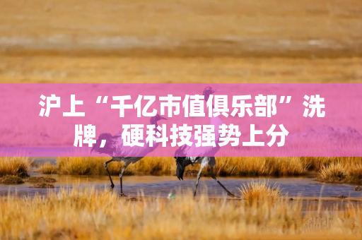 沪上“千亿市值俱乐部”洗牌，硬科技强势上分