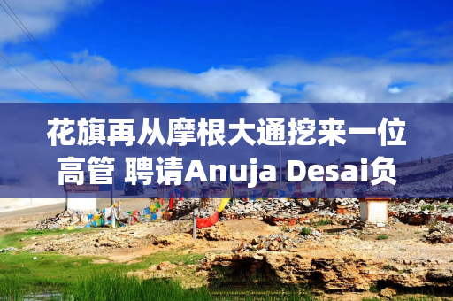花旗再从摩根大通挖来一位高管 聘请Anuja Desai负责评级顾问业务