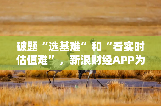 破题“选基难”和“看实时估值难”,新浪财经APP为投资者提供系统化解决方案 破题“选基难”和“看实时估值难”,新浪财经APP为投资者提供系统化解决方案