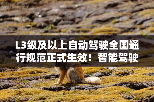 L3级及以上自动驾驶全国通行规范正式生效!智能驾驶ETF华泰柏瑞(516520)交投升温 L3级及以上自动驾驶全国通行规范正式生效!智能驾驶ETF华泰柏瑞(516520)交投升温