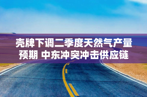 壳牌下调二季度天然气产量预期 中东冲突冲击供应链 壳牌下调二季度天然气产量预期 中东冲突冲击供应链