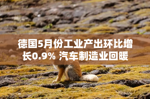 德国5月份工业产出环比增长0.9% 汽车制造业回暖