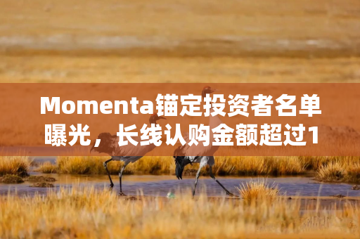 Momenta锚定投资者名单曝光，长线认购金额超过15倍