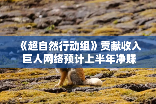 《超自然行动组》贡献收入 巨人网络预计上半年净赚超20亿元