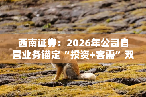 西南证券：2026年公司自营业务锚定“投资+客需”双轮驱动战略