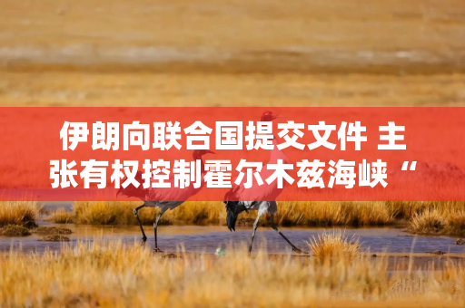 伊朗向联合国提交文件 主张有权控制霍尔木兹海峡“部分”水域