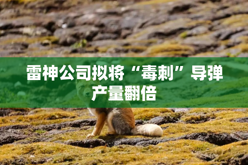 雷神公司拟将“毒刺”导弹产量翻倍