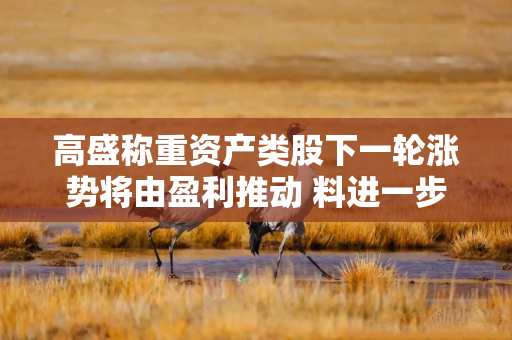 高盛称重资产类股下一轮涨势将由盈利推动 料进一步跑赢轻资产类股