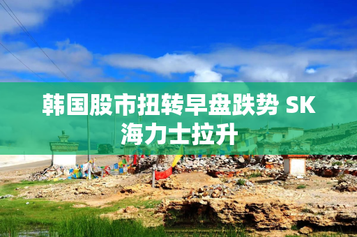 韩国股市扭转早盘跌势 SK海力士拉升