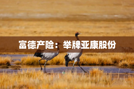 富德产险：举牌亚康股份