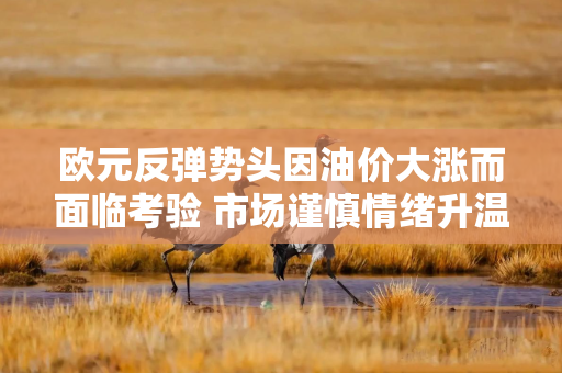 欧元反弹势头因油价大涨而面临考验 市场谨慎情绪升温