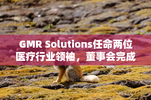 GMR Solutions任命两位医疗行业领袖，董事会完成组建