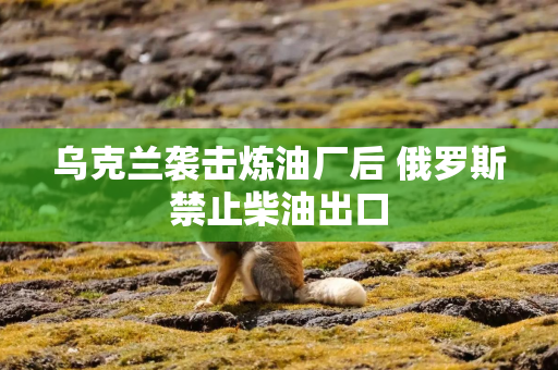 乌克兰袭击炼油厂后 俄罗斯禁止柴油出口