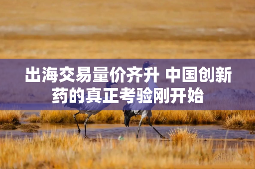 出海交易量价齐升 中国创新药的真正考验刚开始