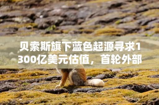 贝索斯旗下蓝色起源寻求1300亿美元估值,首轮外部融资引关注 贝索斯旗下蓝色起源寻求1300亿美元估值,首轮外部融资引关注