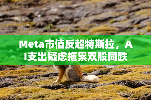 Meta市值反超特斯拉，AI支出疑虑拖累双股同跌