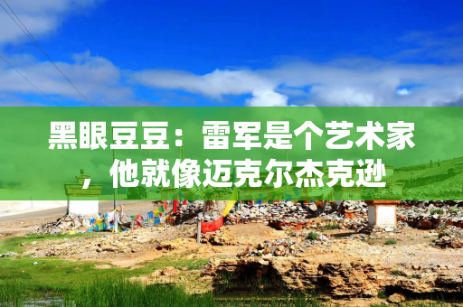 黑眼豆豆：雷军是个艺术家，他就像迈克尔杰克逊