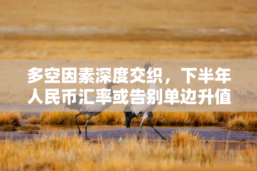 多空因素深度交织，下半年人民币汇率或告别单边升值