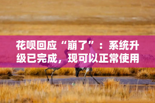 花呗回应“崩了”：系统升级已完成，现可以正常使用，未还款产生利息可联系处理