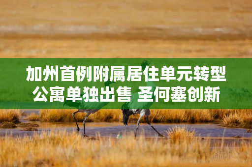 加州首例附属居住单元转型公寓单独出售 圣何塞创新政策缓解住房危机