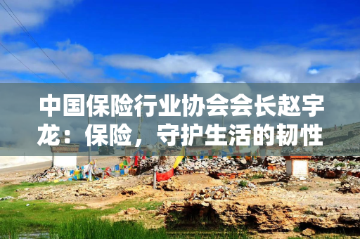 中国保险行业协会会长赵宇龙：保险，守护生活的韧性与安宁