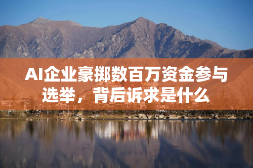 AI企业豪掷数百万资金参与选举，背后诉求是什么
