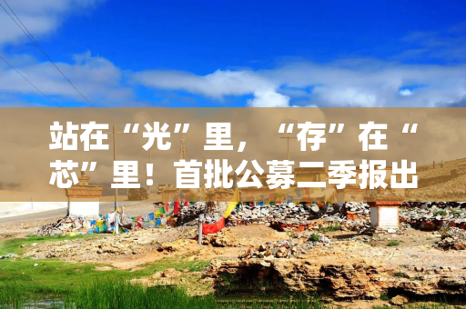 站在“光”里，“存”在“芯”里！首批公募二季报出炉