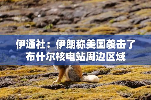 伊通社：伊朗称美国袭击了布什尔核电站周边区域