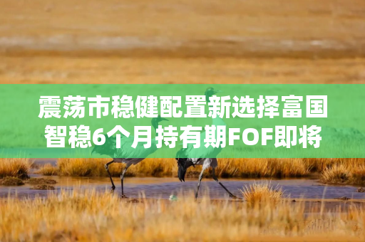 震荡市稳健配置新选择富国智稳6个月持有期FOF即将结募