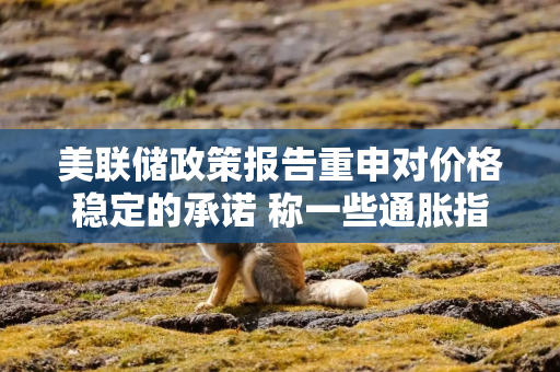 美联储政策报告重申对价格稳定的承诺 称一些通胀指标过去一年回落 美联储政策报告重申对价格稳定的承诺 称一些通胀指标过去一年回落
