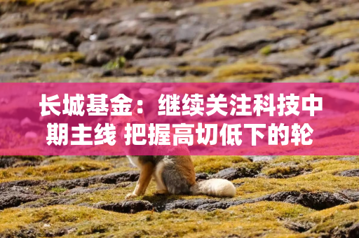 长城基金：继续关注科技中期主线 把握高切低下的轮动机会