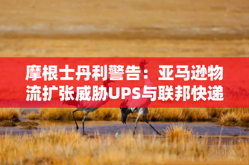 摩根士丹利警告：亚马逊物流扩张威胁UPS与联邦快递