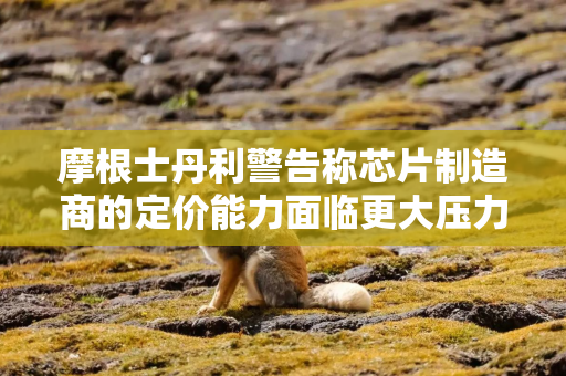摩根士丹利警告称芯片制造商的定价能力面临更大压力
