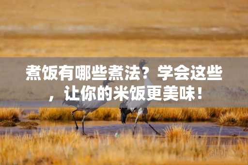 煮饭有哪些煮法？学会这些，让你的米饭更美味！