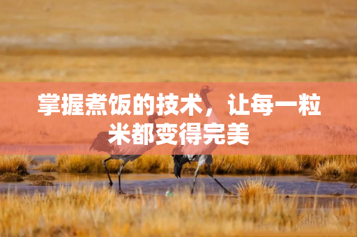 掌握煮饭的技术，让每一粒米都变得完美