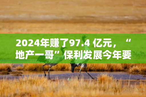 2024年赚了97.4 亿元，“地产一哥”保利发展今年要花1000亿拿地，并瞄准两个新业务