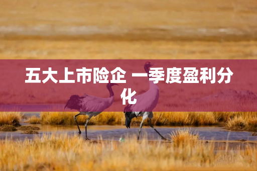 五大上市险企 一季度盈利分化