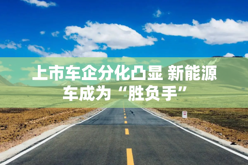 上市车企分化凸显 新能源车成为“胜负手”