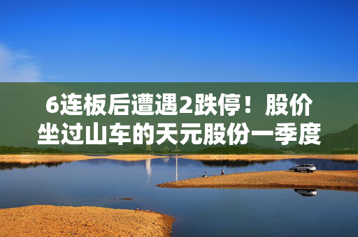 6连板后遭遇2跌停！股价坐过山车的天元股份一季度营收净利双降